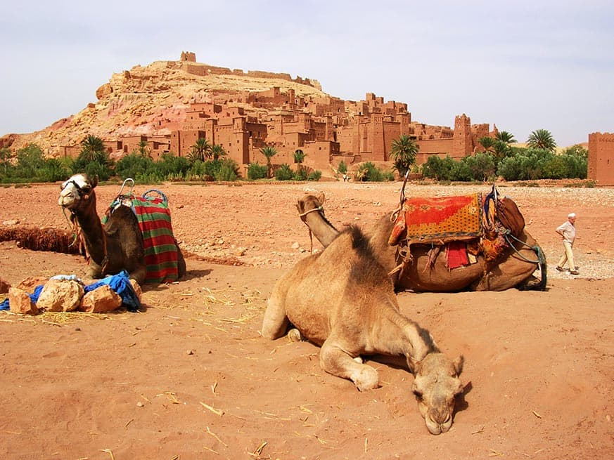 8 Days from Fes: Sahara, Kasbahs & Marrakech