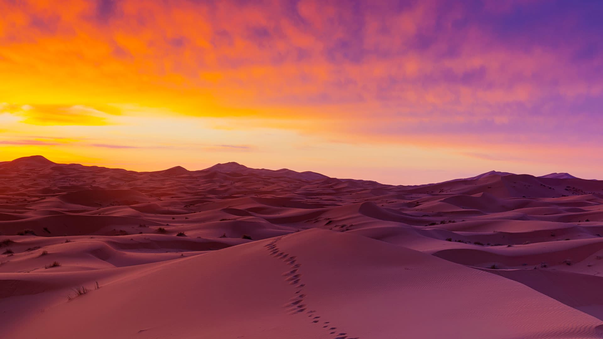 A Night in a Sahara Desert Camp: What to Expect