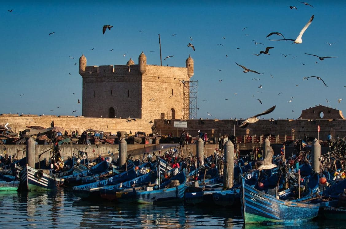 5 Days from Casablanca: Marrakech, Essaouira & the Atlas