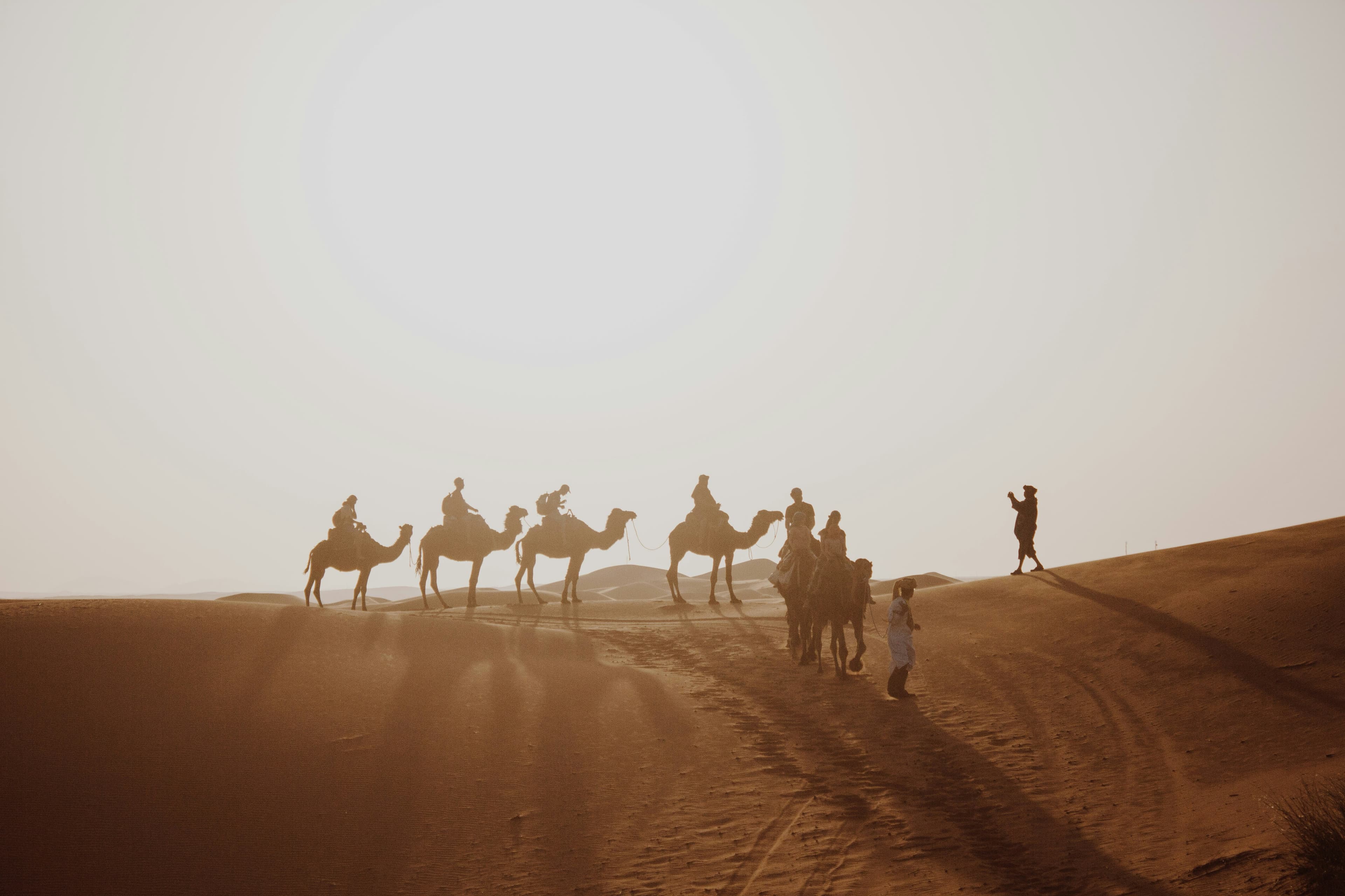 A camel trek crossing the dunes of the Sahara at sunset