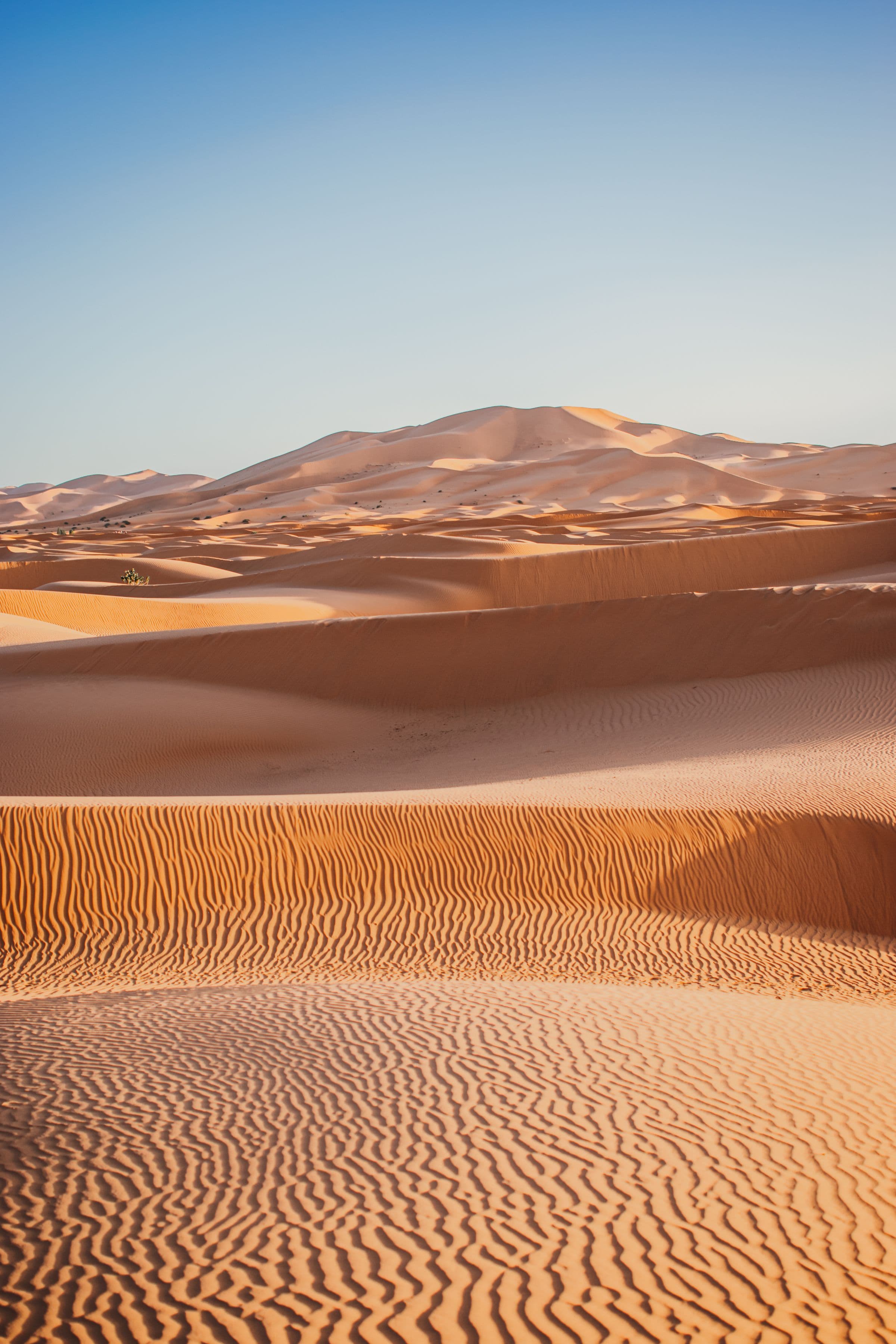 2 Days / 1 Night: Errachidia – Merzouga – Errachidia