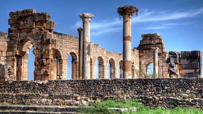 Volubilis Day Trip